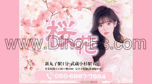 新丸子駅近くのメンズエステ店舗（桜花） | DINOエステ（ディノエステ）