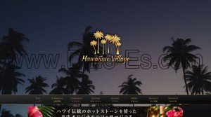 名鉄岐阜の「Hawaiian village ハワイアンヴィレッジ」電話番号：090-6599-6363