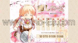 関内駅近くのメンズエステ店舗（癒しローズ） | DINOエステ（ディノエステ）