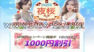小山の「夜桜」電話番号：080-8088-7106