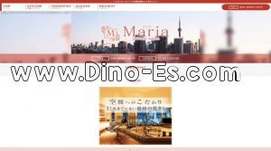 高岳駅近くのメンズエステ店舗（Maria～マリア～） | DINOエステ（ディノエステ）