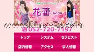 庄内通駅近くのメンズエステ店舗（花蕾～からい～） | DINOエステ（ディノエステ）