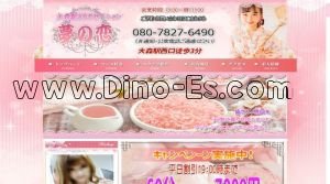 大森駅近くのメンズエステ店舗（夢の恋） | DINOエステ（ディノエステ）