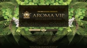 赤坂(東京)の「AROMA VIP」電話番号:03-6380-3796