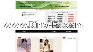 五反田駅近くのメンズエステ店舗（品川メンズエステ ナチュレスパ） | DINOエステ（ディノエステ）