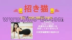 三河安城駅近くのメンズエステ店舗（招き猫） | DINOエステ（ディノエステ）