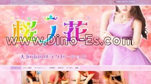 荒尾(岐阜)の「桜ノ花」電話番号：090-6570-5988