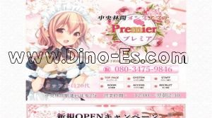 中央林間駅近くのメンズエステ店舗（Premier プレミア） | DINOエステ（ディノエステ）