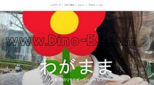 天竜川駅近くのメンズエステ店舗（わがまま） | DINOエステ（ディノエステ）