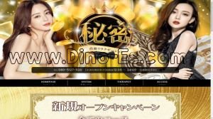 桜橋駅近くのメンズエステ店舗（秘密） | DINOエステ（ディノエステ）