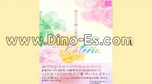 久留米駅近くのメンズエステ店舗（Katorie.～カトリエ～） | DINOエステ（ディノエステ）