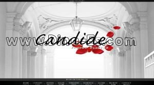 博多の「Candide～キャンディッド～」電話番号：080-6463-7733