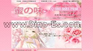 小幡駅近くのメンズエステ店舗（蜜の味） | DINOエステ（ディノエステ）