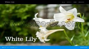ひたち野うしくの「White Lily」電話番号：090-1913-0117
