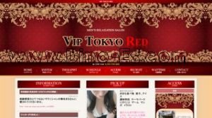 西新宿五丁目の「Vip Tokyo Red 新宿」電話番号：070-1378-3845