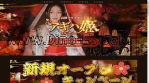 磐田の「アギハ姫」電話番号：090-8184-1158