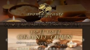 南越谷駅近くのメンズエステ店舗（aroma Beauté ～アロマボーテ～） | DINOエステ（ディノエステ）