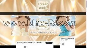 赤坂(東京)の「Celestine Aromage セレスティンアロマージュ」電話番号：050-5527-2220