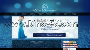 西新宿の「ブルーダイヤモンド 西新宿ルーム」電話番号：050-5527-2197