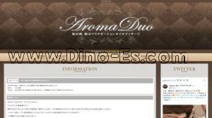 飯田橋駅近くのメンズエステ店舗（Aroma Duo～アロマデュオ～） | DINOエステ（ディノエステ）
