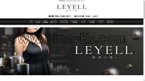 天竜川の「LEYELL ルエール」電話番号：090-1096-0911
