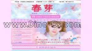 掛川の「春芽～はるめ」電話番号：080-7823-6836