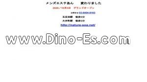 五反田駅近くのメンズエステ店舗（メンズエステ あん 五反田店） | DINOエステ（ディノエステ）