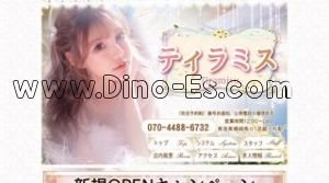 武蔵小杉駅近くのメンズエステ店舗（ティラミス） | DINOエステ（ディノエステ）