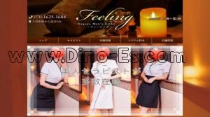 大曽根駅近くのメンズエステ店舗（Feeling～フィーリング～） | DINOエステ（ディノエステ）