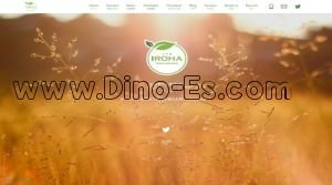 仙台駅近くのメンズエステ店舗（IROHA ～いろは～） | DINOエステ（ディノエステ）