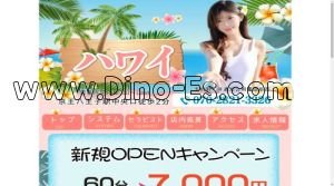 京王八王子の「ハワイ」電話番号：070-2821-3326
