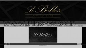 堺東駅近くのメンズエステ店舗（Si Belles～シ ベル～） | DINOエステ（ディノエステ）