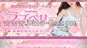 枇杷島駅近くのメンズエステ店舗（ラズベリー） | DINOエステ（ディノエステ）