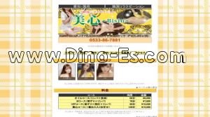 国府(愛知)の「美心」電話番号：0533-86-7881