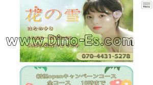 北浦和駅近くのメンズエステ店舗（花の雪） | DINOエステ（ディノエステ）