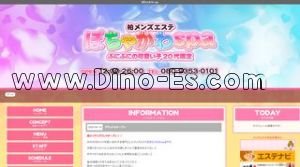 柏駅近くのメンズエステ店舗（ぽちゃかわ spa） | DINOエステ（ディノエステ）