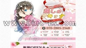 中央林間駅近くのメンズエステ店舗（癒しのアキッナ） | DINOエステ（ディノエステ）
