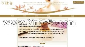 南流山駅近くのメンズエステ店舗（つばさ） | DINOエステ（ディノエステ）