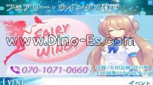登戸駅近くのメンズエステ店舗（フェアリー ウイングス） | DINOエステ（ディノエステ）
