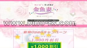 近鉄四日市の「金魚妻」電話番号：080-9641-8324