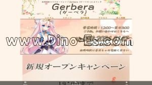 西岡崎駅近くのメンズエステ店舗（Gerbera～ガーベラ～） | DINOエステ（ディノエステ）