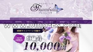 掛川の「Shamballa シャンバラ」電話番号：080-9860-2031