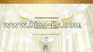 小山の「天使のやすらぎ」電話番号：070-9119-1081