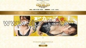 川崎駅近くのメンズエステ店舗（GOLD） | DINOエステ（ディノエステ）