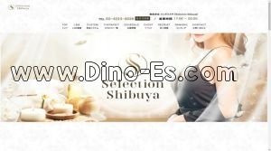 新宿の「Selection Shibuya」電話番号：03-4223-8026