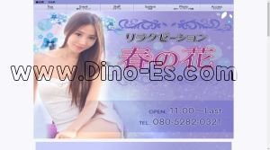 布施の「春の花」電話番号：080-5282-0321