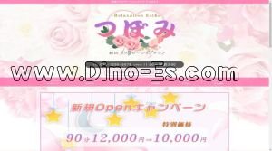 郡山駅近くのメンズエステ店舗（つぼみ） | DINOエステ（ディノエステ）