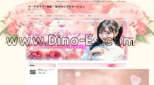 本笠寺駅近くのメンズエステ店舗（ローズキララ） | DINOエステ（ディノエステ）