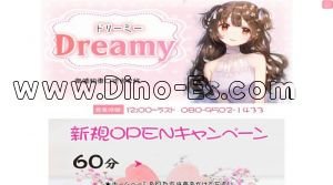 南浦和駅近くのメンズエステ店舗（Dreamy ～ドリーミー～） | DINOエステ（ディノエステ）