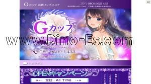 中央林間駅近くのメンズエステ店舗（Gカップ） | DINOエステ（ディノエステ）